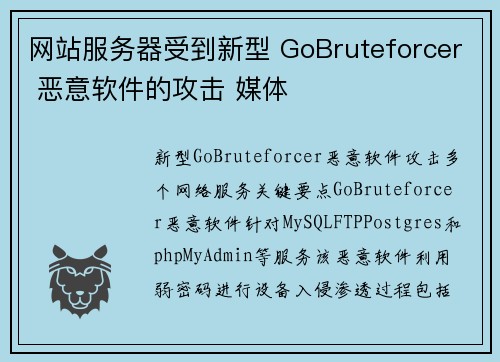 网站服务器受到新型 GoBruteforcer 恶意软件的攻击 媒体