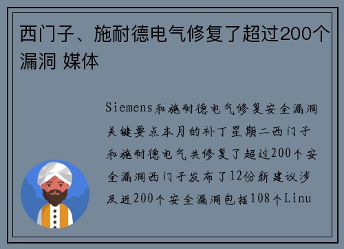 西门子、施耐德电气修复了超过200个漏洞 媒体