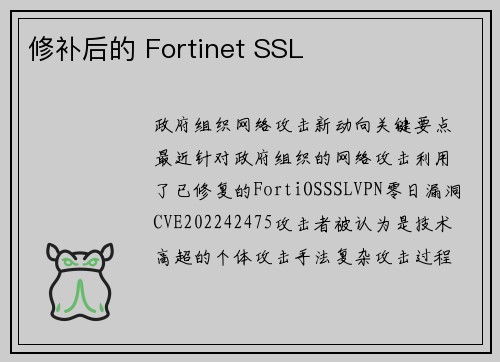修补后的 Fortinet SSL